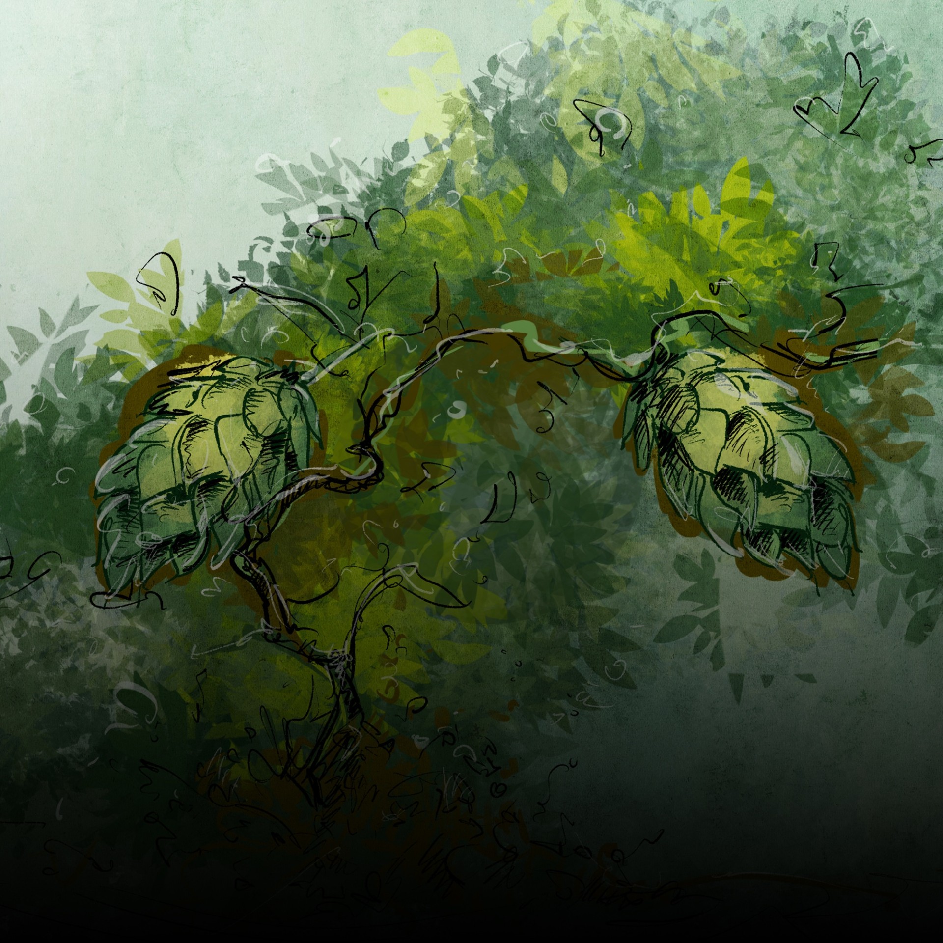 Gezeichneter Hopfen an einem Ast mit Blättern vor einem hellgrünen Hintergrund.